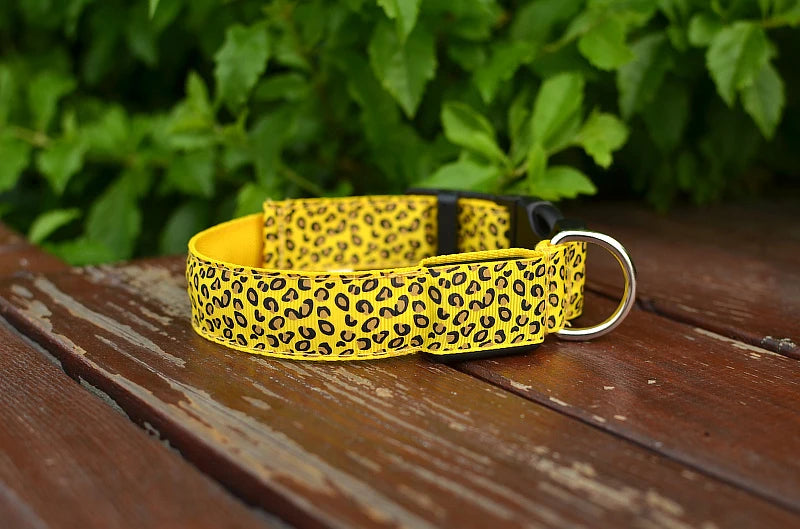 NIGHTBRITE DOG COLLAR (LEOPARD PRINT)