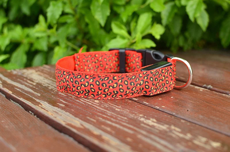 NIGHTBRITE DOG COLLAR (LEOPARD PRINT)