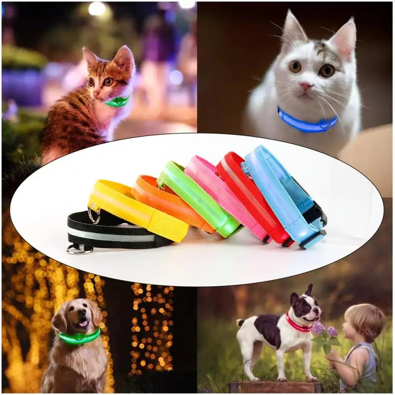 NIGHTBRITE CAT COLLAR