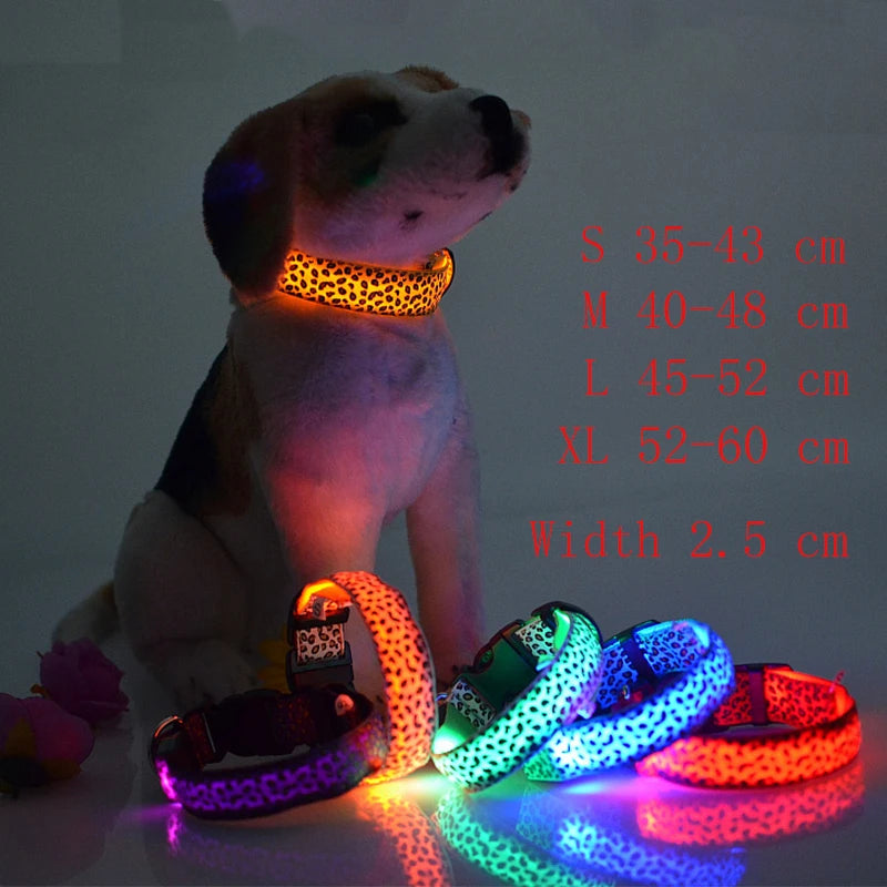 NIGHTBRITE DOG COLLAR (LEOPARD PRINT)