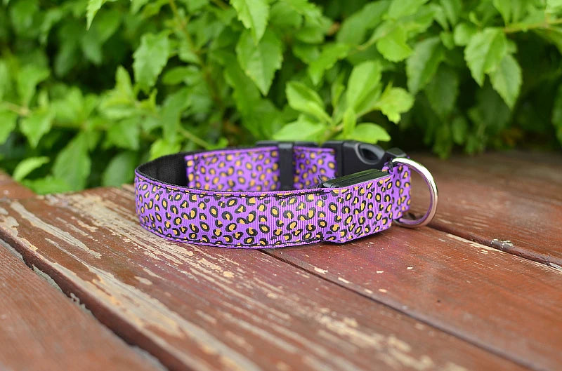 NIGHTBRITE DOG COLLAR (LEOPARD PRINT)