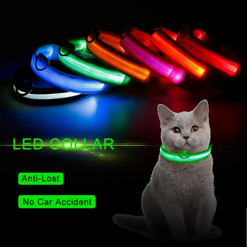 NIGHTBRITE CAT COLLAR