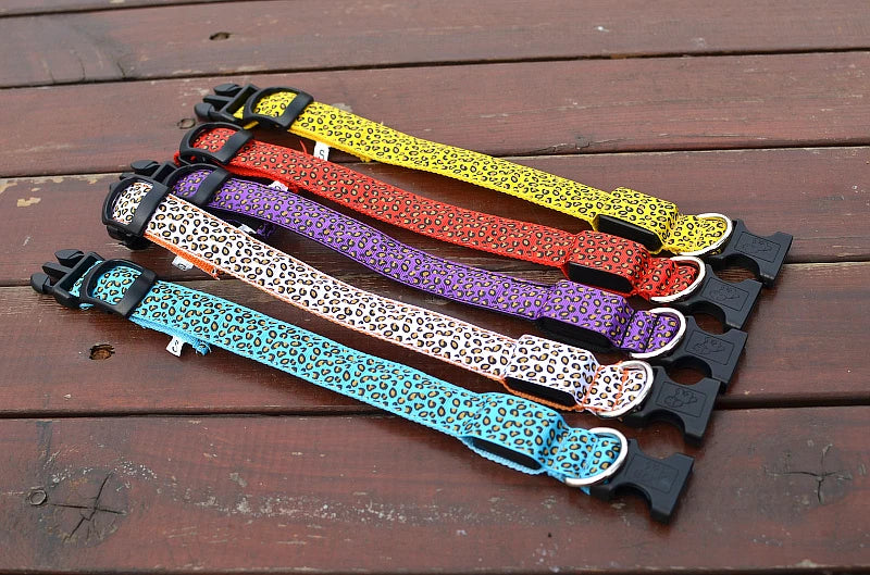 NIGHTBRITE DOG COLLAR (LEOPARD PRINT)