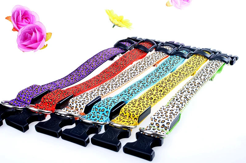 NIGHTBRITE DOG COLLAR (LEOPARD PRINT)