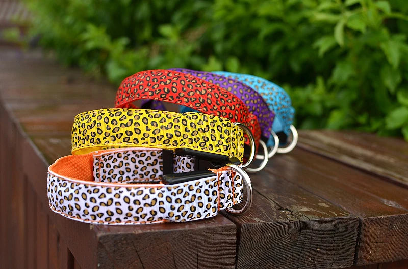 NIGHTBRITE DOG COLLAR (LEOPARD PRINT)