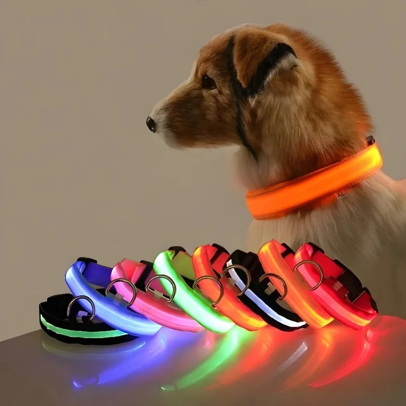 NIGHTBRITE DOG COLLARS