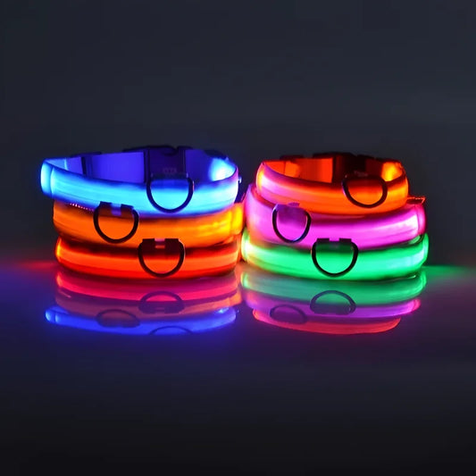 NIGHTBRITE DOG COLLARS